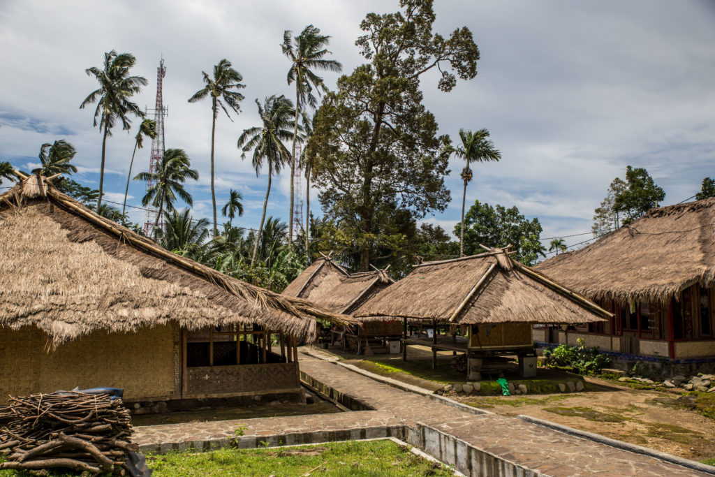 Senaru Villages & Waterfall Walk
