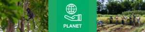 Khiri Travel Planet Icon