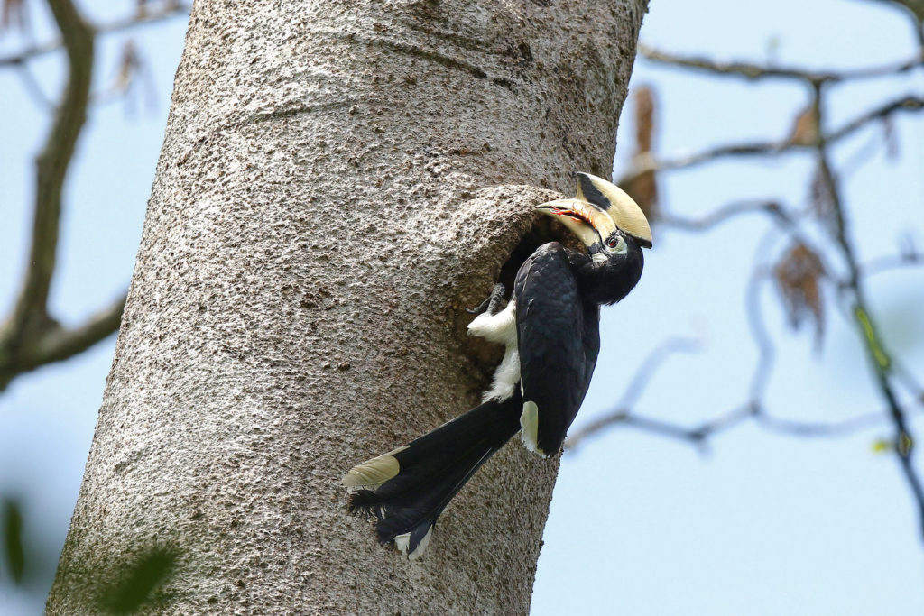 Natural beauty of Kep National Park