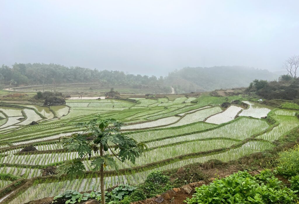 A Trek Through Three Villages in Vietnam