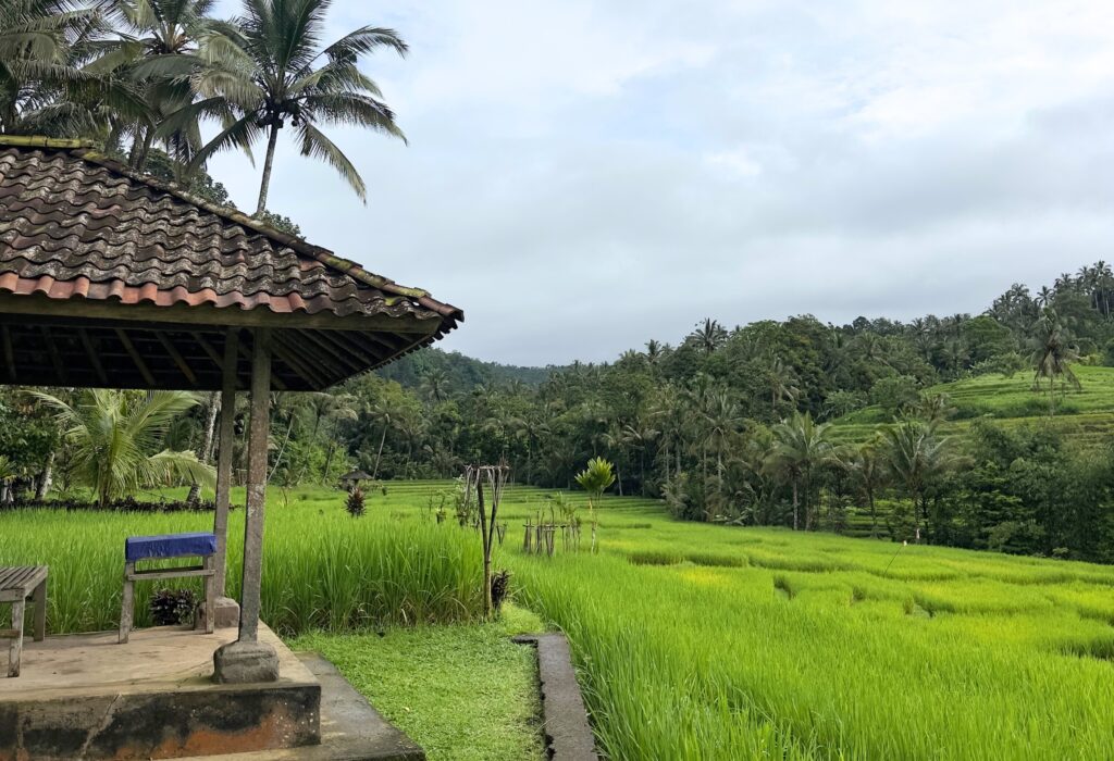 Bali Trek: From Pura Luhur Mekori to Batukaru’s Hidden Trails