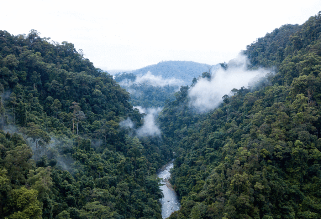 Sumatra Jungle Trek Adventure: Orangutans, Wildlife & River Tubing
