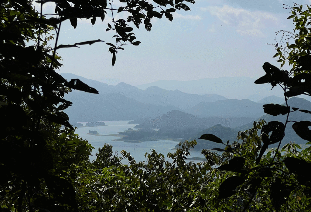 Regenerative Experiences in the Green Hills of Digana, Sri Lanka