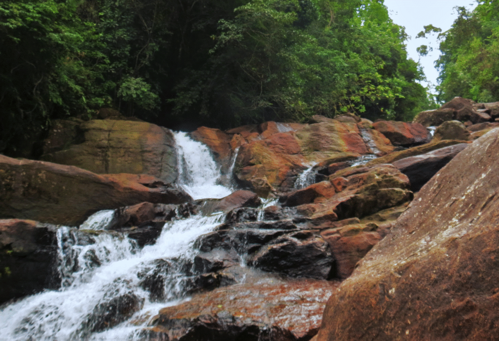 Kanneliya Rainforest: Sri Lanka’s Undiscovered Wilderness