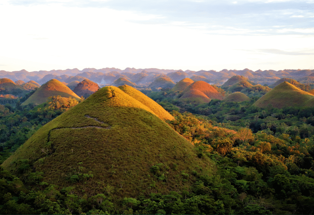 Chocolate Hills