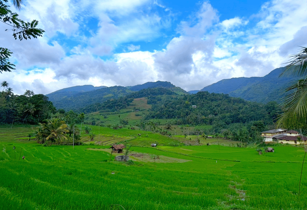 Hike to Heeloya: Adventures in the Knuckles Mountain Range