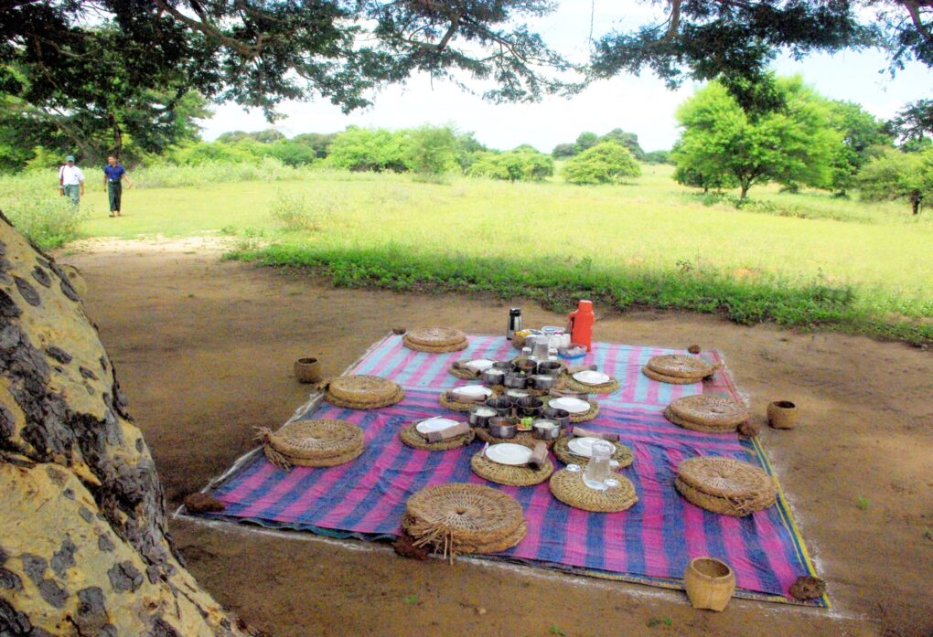 Bagan Picnic Experience Hidden Temples by E-Bike (2) Bagan Picnic Experience Hidden Temples by E-Bike (2)