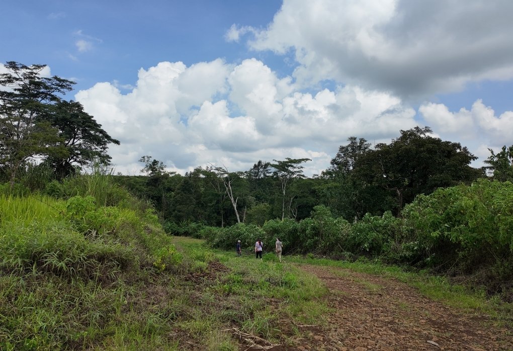 Bolaven Plateau by Bike A 4-Day Loop in Laos-3 Bolaven Plateau by Bike A 4-Day Loop in Laos-3