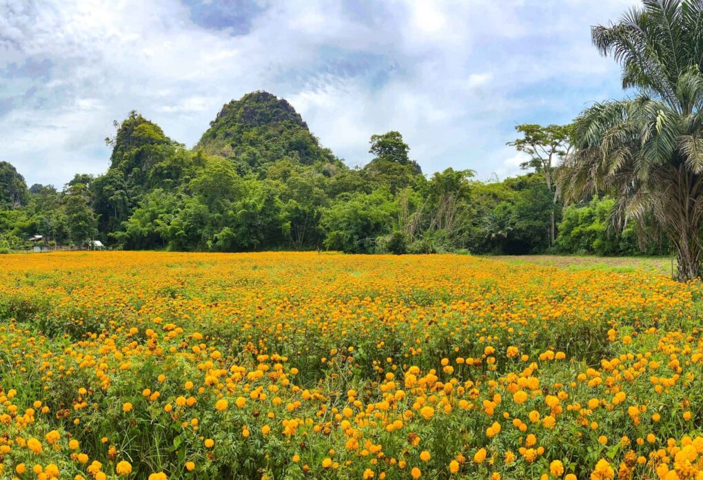 Kanchanaburi-2