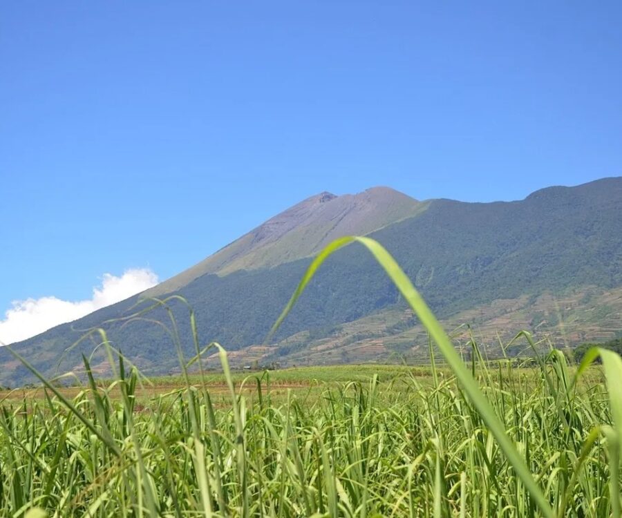 North Luzon-image-1