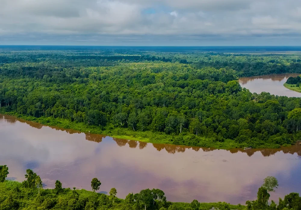 Deeper-into-Kalimantan-by-Riverboat-2 Deeper-into-Kalimantan-by-Riverboat-2