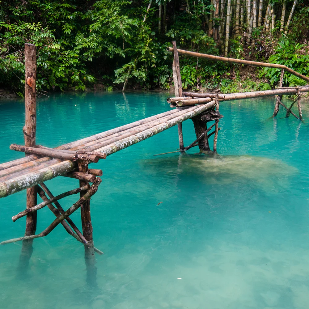 Kawasan-Falls-Canyoneering-Adventure-in-the-Heart-of-Cebu-3