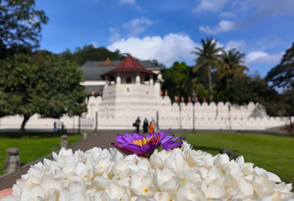 Kandy Cultural Journey: Food, Heritage & Spirituality
