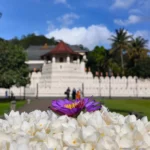 A Taste of Kandy: Sri Lankan Home Cooking & Culture